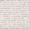 Anti-Aging Gesichtsbalsam für die Nacht mit Sheabutter, Mango- und Jojobaöl