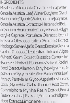 Beruhigendes Gesichtstonikum mit Teebaumextrakt