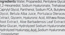 Feuchtigkeitsspendender Gesichtstoner mit Hyaluronsäure