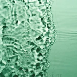 Feuchtigkeitstonikum für Gesicht und Augen mit Bio-Rosenwasser und Vinolevure