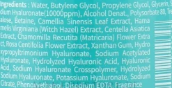 Gesichtswasser mit Hyaluronsäure und Centella