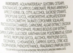 Institut Esthederm Hydra Replenishing Cleansing Milk