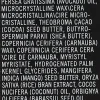 Multifunktionaler Ölbalsam für trockene Gesichtshaut